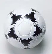 李提香告别,浙江队,冠军梦碎,乐竞体育官方,乐竞体育在线官网,乐竞体育线上,乐竞体育APP