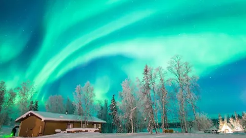 乐竞体育 产品 102306 piv